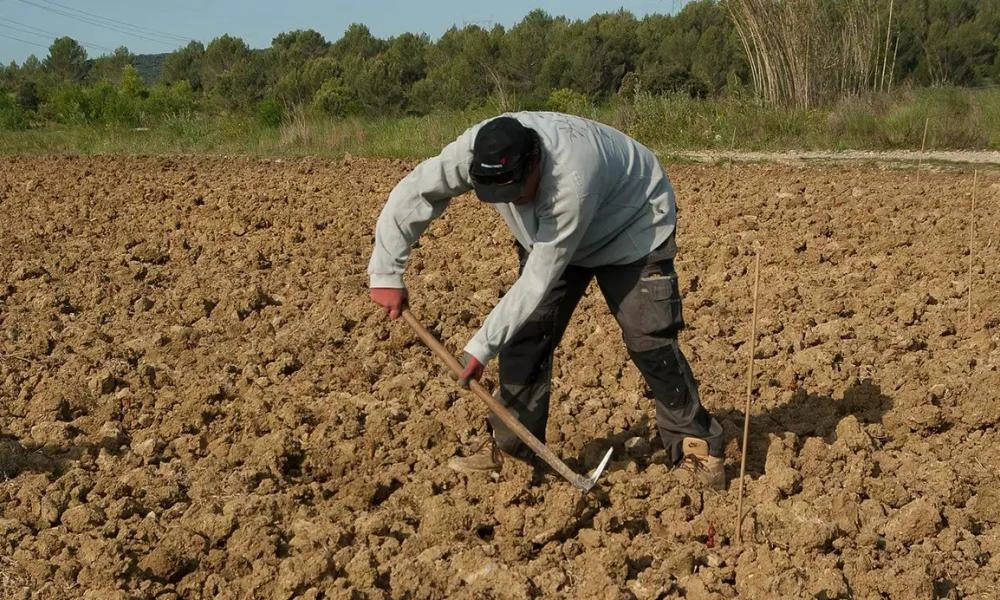 Ευκαιρίες για τους εργάτες της χώρας του «βλέπει» στην Ελλάδα ο πρέσβης του Βιετνάμ